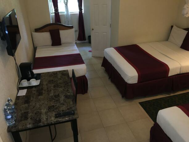 Imagen de la habitación del Hotel Executive Airport. Foto 14