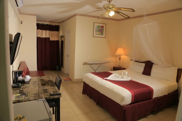 Imagen de la habitación del Hotel Executive Airport. Foto 20