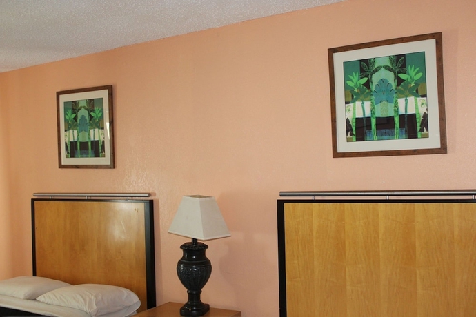 Imagen de la habitación del Hotel Executive Economy Lodge. Foto 15