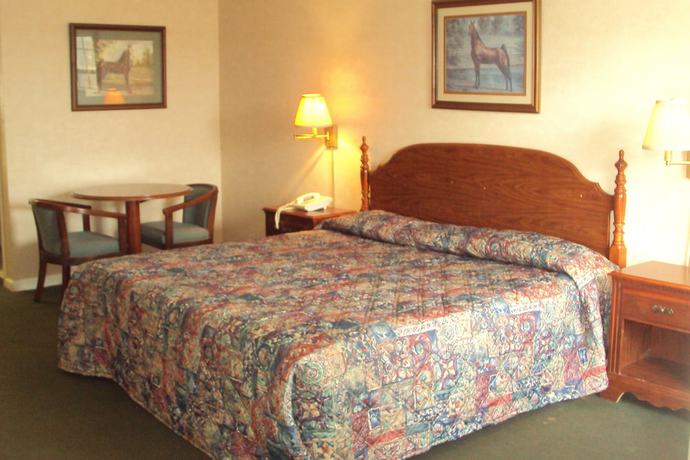 Imagen general del Hotel Executive Inn. Foto 1