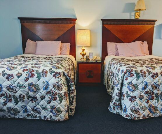 Imagen general del Hotel Executive Inn Thomson. Foto 7