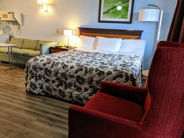 Imagen de la habitación del Hotel Executive Inn Thomson. Foto 20