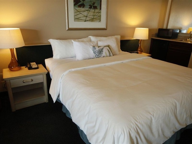Imagen general del Hotel Executive Inn and Suites Embarcadero Cove. Foto 3
