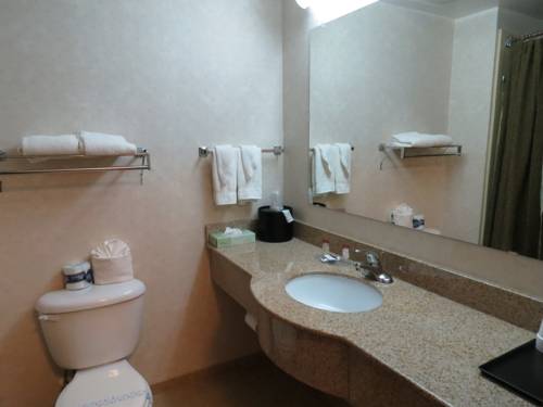 Imagen de la habitación del Hotel Executive Inn and Suites, Upper Malboro. Foto 6