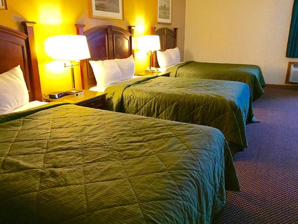 Imagen de la habitación del Hotel Executive Inn and Suites, WAUKEGAN. Foto 13