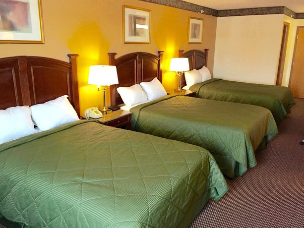 Imagen de la habitación del Hotel Executive Inn and Suites, WAUKEGAN. Foto 15