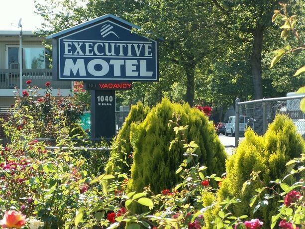 Imagen general del Hotel Executive Motel. Foto 10