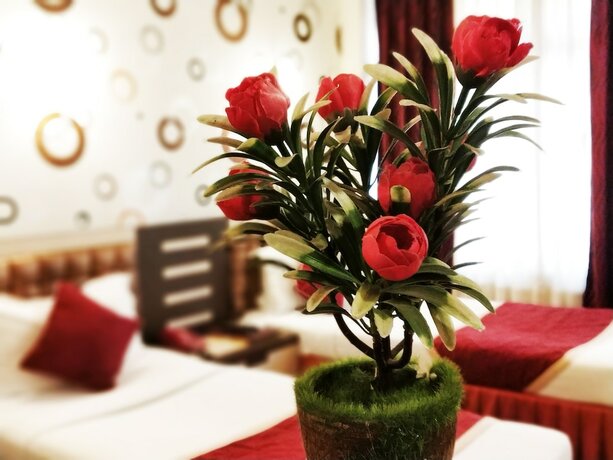 Imagen de la habitación del Hotel Executive Tower. Foto 21