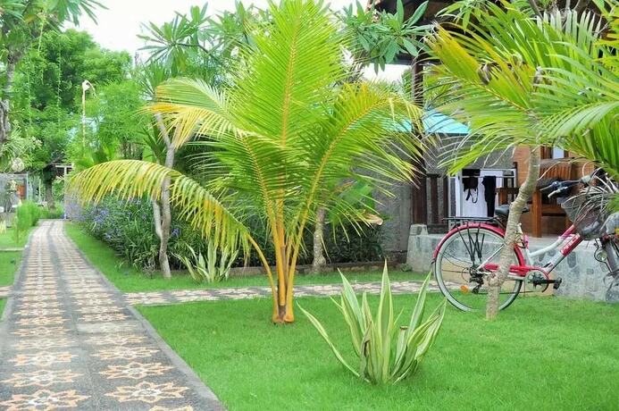 Imagen general del Hotel Exotic View Cottage. Foto 11