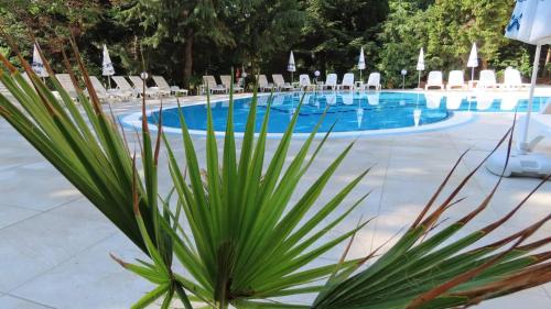Imagen general del Hotel Exotica, Golden Sands. Foto 7