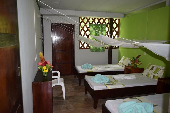 Imagen de la habitación del Hotel Explorama Lodge. Foto 18