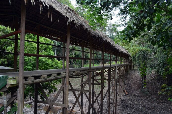 Imagen general del Hotel Explorama Lodge. Foto 8