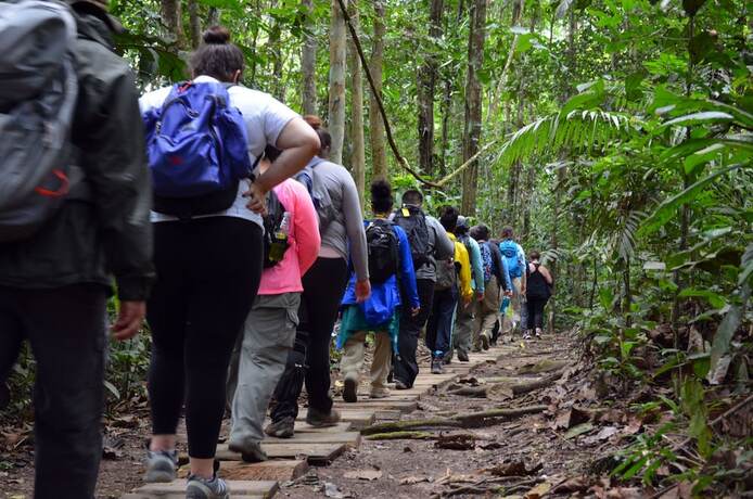 Imagen general del Hotel Explorama Lodge. Foto 9