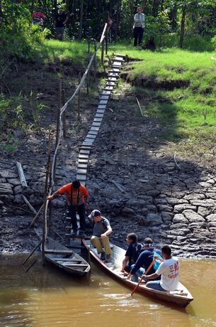 Imagen general del Hotel Explorama Lodge. Foto 16