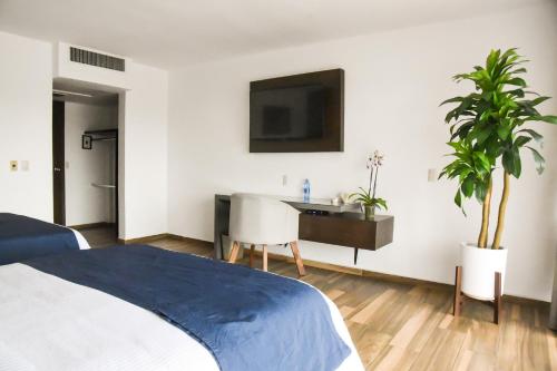 Imagen de la habitación del Hotel Expo Plaza Business and Family Guadalajara. Foto 5