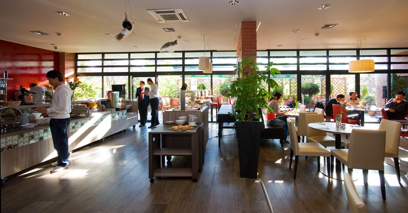 Imagen del bar/restaurante del Hotel Expo, Praga. Foto 3