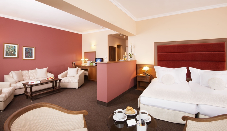 Imagen de la habitación del Hotel Expo Sofía. Foto 11