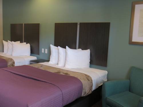 Imagen de la habitación del Hotel Express Inn - Spring. Foto 5