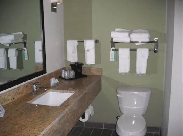 Imagen de la habitación del Hotel Express Inn & Suites. Foto 5