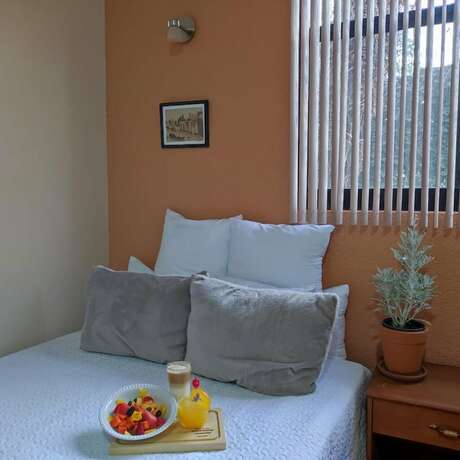 Imagen general del Hotel Express Quinta Soledad. Foto 6