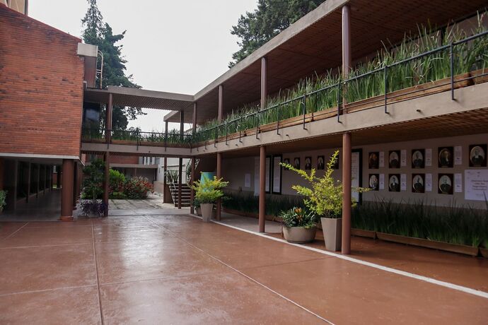 Imagen general del Hotel Express Quinta Soledad. Foto 10