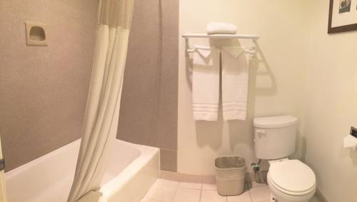 Imagen de la habitación del Hotel Extend-a-suites Utep. Foto 6