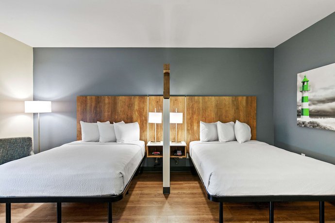 Imagen de la habitación del Hotel Extended Stay America Premier Suites Tampa Fairgrounds Casin. Foto 3