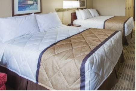 Imagen de la habitación del Hotel Extended Stay America Suites Dallas Las Colinas Carnaby St. Foto 7