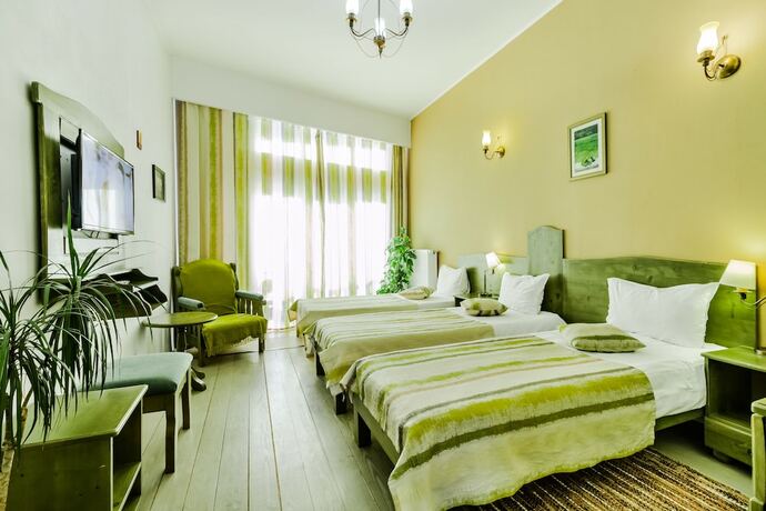 Imagen general del Hotel Ezio Brasov. Foto 3
