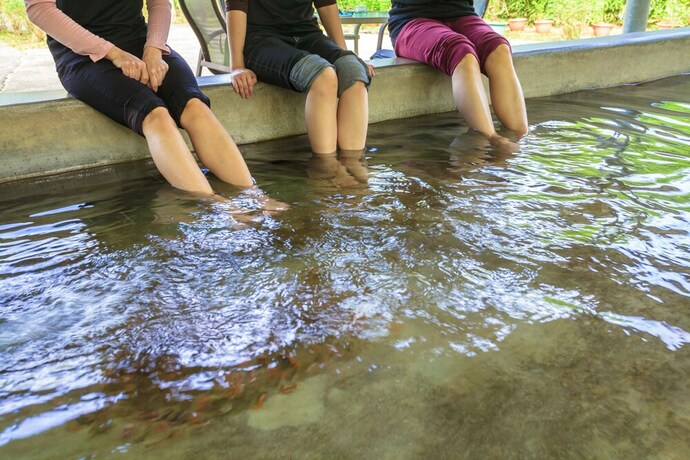 Imagen de la piscina del Hotel F Chiayi. Foto 29