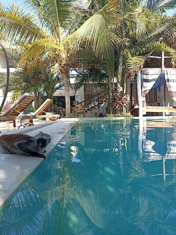 Imagen general del Hotel FATUMA HOUSE HOTEL. Foto 13