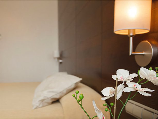 Imagen de la habitación del Hotel FC Villalba. Foto 12