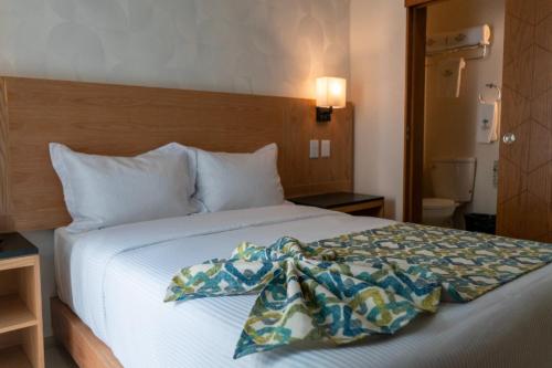 Imagen general del Hotel FCH Minerva-CAS. Foto 8
