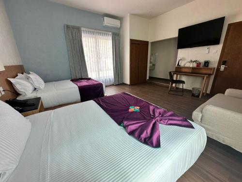 Imagen general del Hotel FCH Minerva-CAS. Foto 14