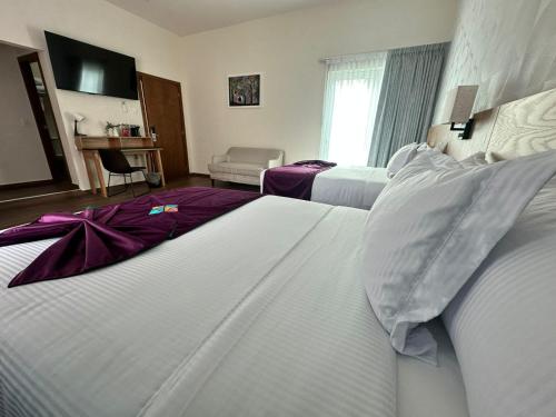 Imagen general del Hotel FCH Minerva-CAS. Foto 15