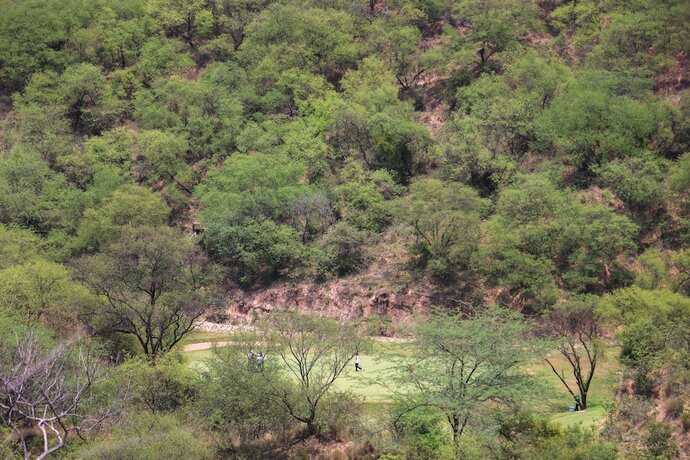 Imagen general del Hotel FHR Wilderness Lodge Chandigarh by TUTC. Foto 9