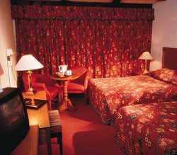 Imagen general del Hotel FITZPATRICK BUNRATTY SHAMROCK. Foto 2