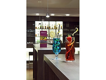 Imagen de los interiores del Hotel FUERTHER MERCURE NUERNBERG WES. Foto 13