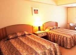 Imagen general del Hotel FUJITA. Foto 1