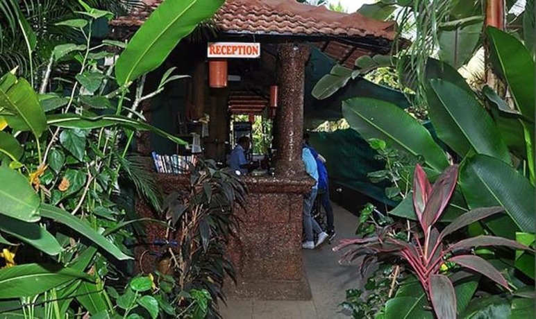 Imagen general del Hotel FabExpress VT Resort With Pool, Calangute Beach. Foto 9