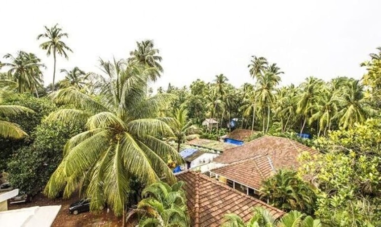 Imagen general del Hotel Fabexpress Orchid The Sky. Foto 11