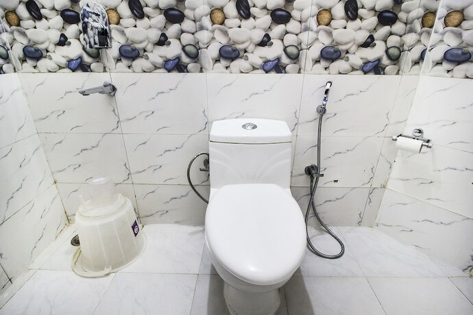 Imagen general del Hotel Fabhotel Satyavati. Foto 8