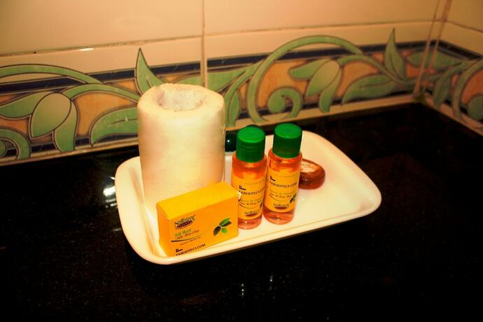Imagen general del Hotel Fabhotel Shree Pushpraj. Foto 1