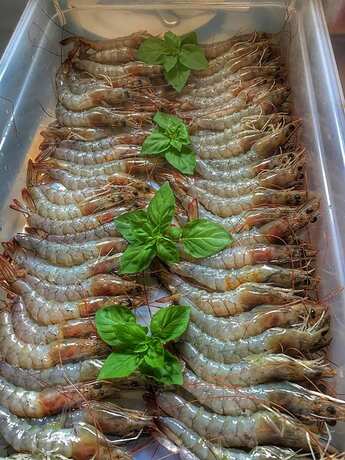 Imagen general del Hotel Fabio. Foto 14