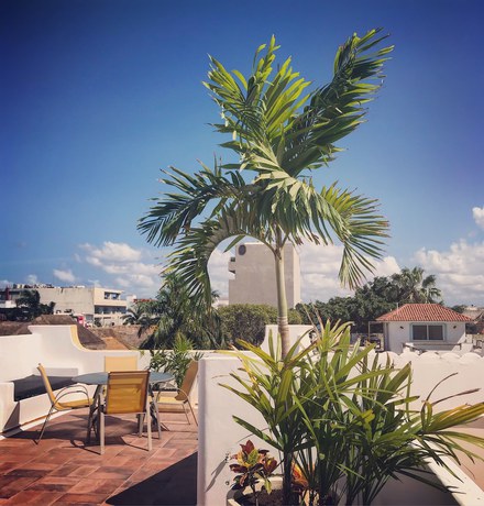 Imagen de la habitación del Hotel Fabiola Condo. Foto 3