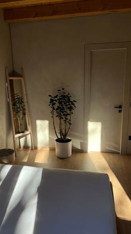 Imagen de la habitación del Hotel Faces and Places Boutique. Foto 20