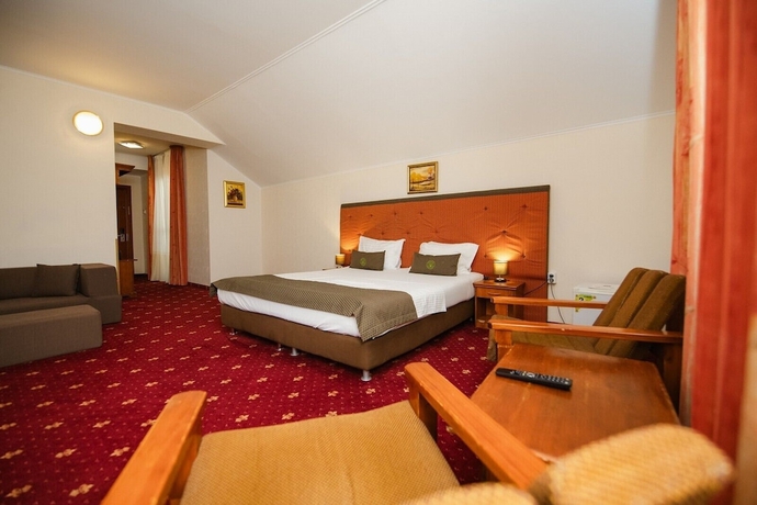 Imagen de la habitación del Hotel F&acirc;nt&acirc;nița Haiducului. Foto 5