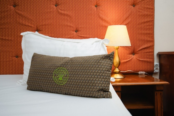 Imagen de la habitación del Hotel F&acirc;nt&acirc;nița Haiducului. Foto 12