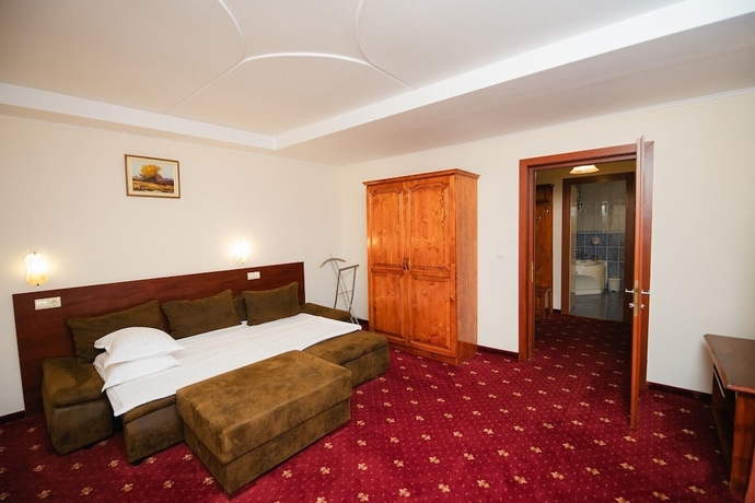Imagen de la habitación del Hotel F&acirc;nt&acirc;nița Haiducului. Foto 14