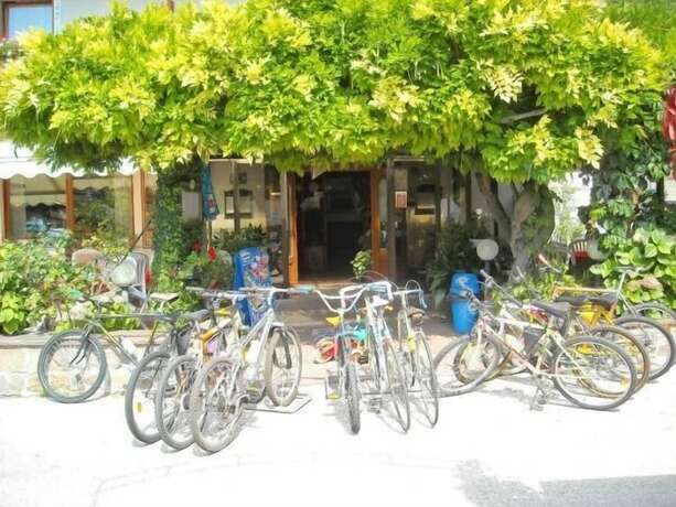 Imagen general del Hotel Faedo Pineta. Foto 3